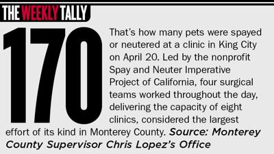 The Weekly Tally 04.23.26