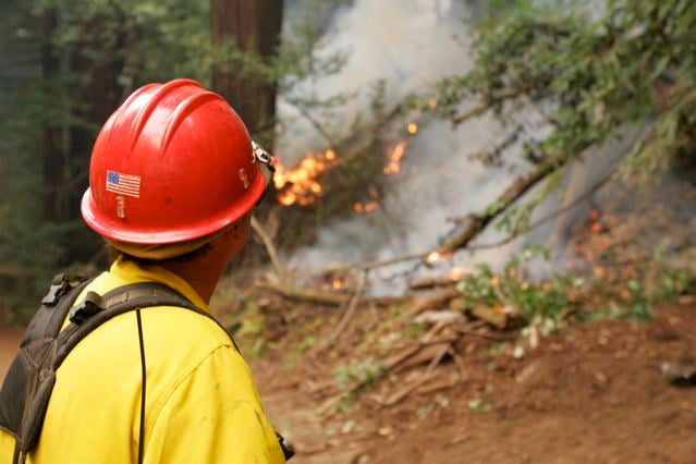 Fireman looks on a Buzzard's Roost