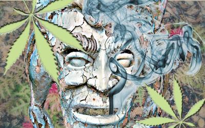 MMJ_Face