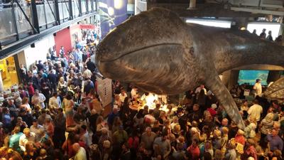 Whale of a Party