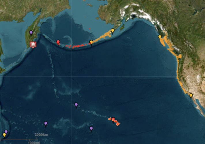 Monterey tsunami alert
