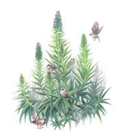 Art Around the County 05.04.17