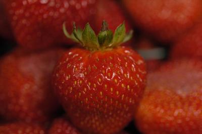 Berry Sweet
