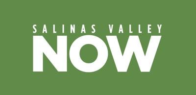 SV-Now_more-green