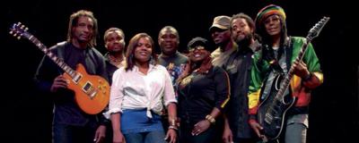 From reggae to bluegrass and rap, musicians are sounding off for the Obama cause.  