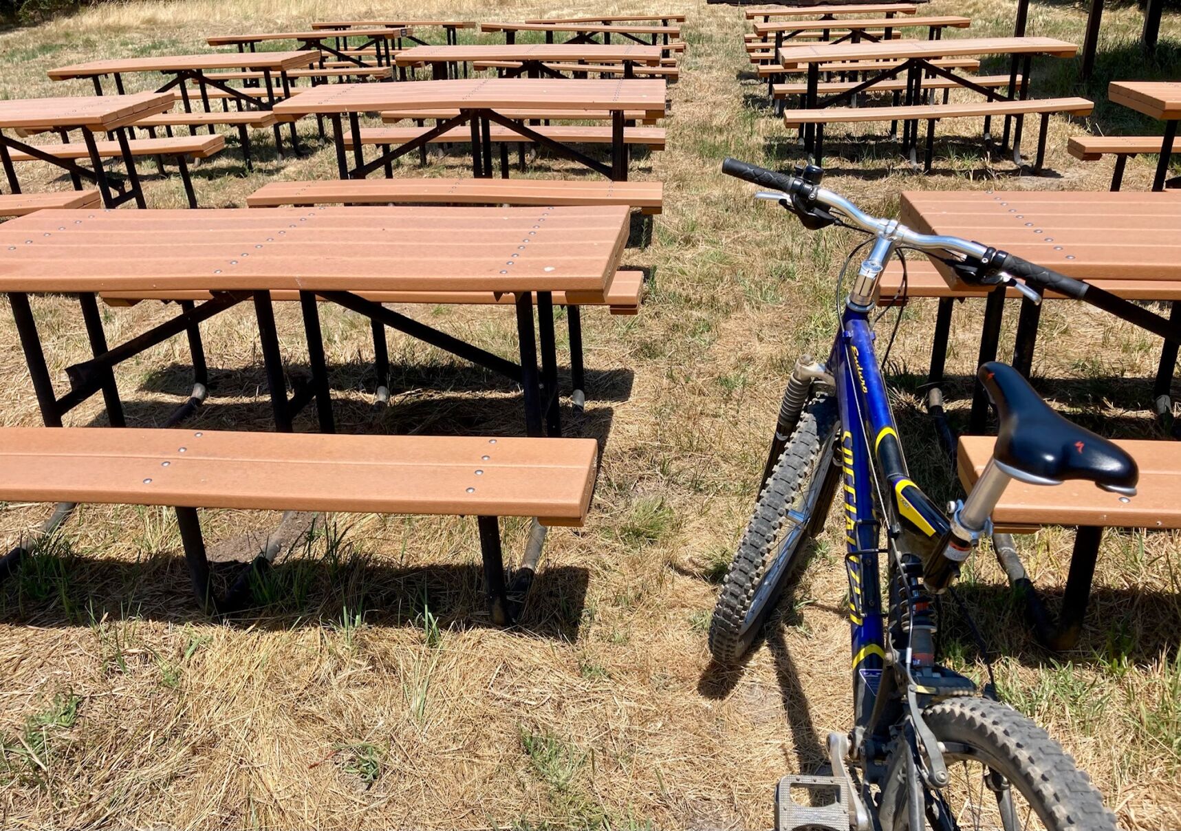 It was a little too hot for a picnic at Fort Ord National Monument