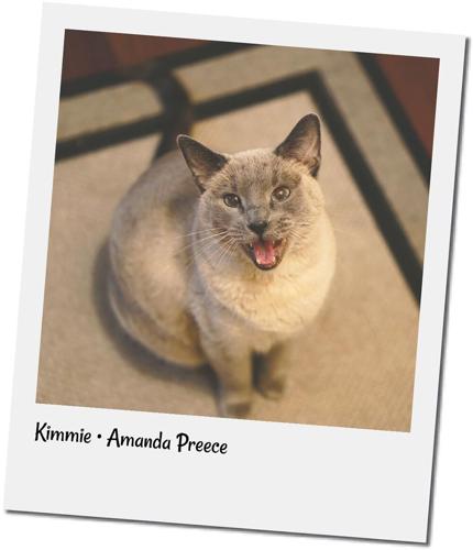 cvr-Kimmie.jpg