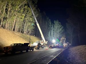 Image for display with article titled Many of Those Famous Eucalyptus Trees on Highway 101 Are Coming Down, Making the Area Safer for Commuters.