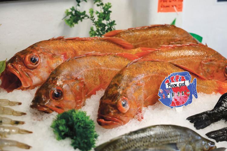A Fine Kettle of Fish
