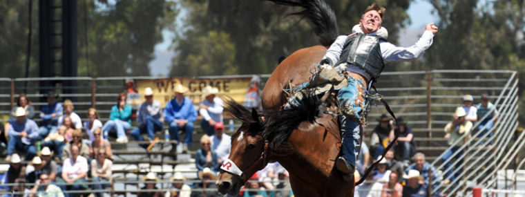 Broncs, bulls, steers and a whole lot of cowboys on the final day of the California Rodeo Salinas.  
