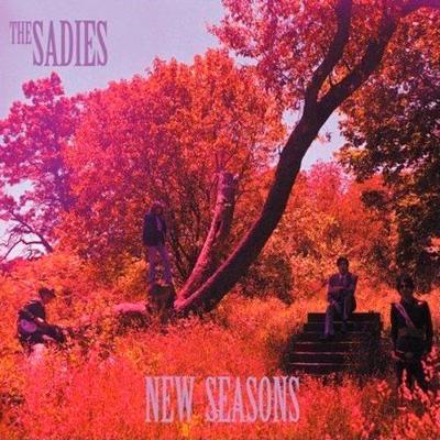 THE SADIES | New Seasons |Yep Roc  