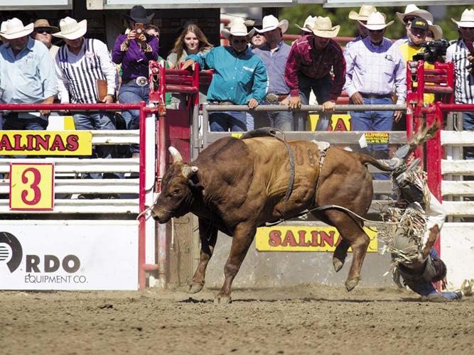Full Range - Rodeo 2019