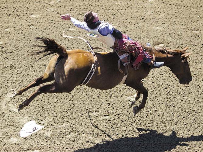 Full Range - Rodeo 2019
