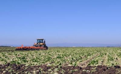 No Love for the Ag Waiver: Ag and Enviros Both Appeal  