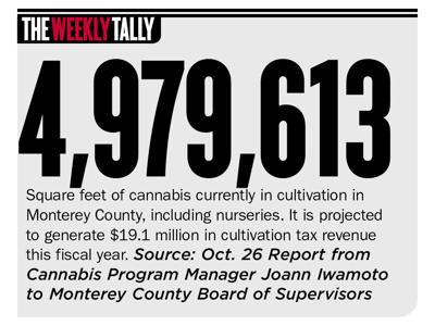 The Weekly Tally 10.28.21