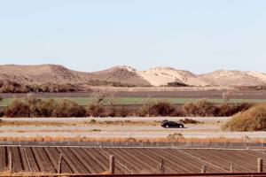 Image for display with article titled Elected Officials Are Watching Idly as Seawater Intrusion Continues Advancing Down the Salinas Valley. If Only Someone Could Do Something.