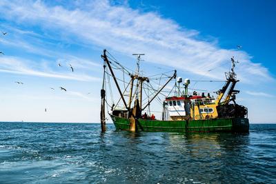 •ICN-Morsels_FishingBoat