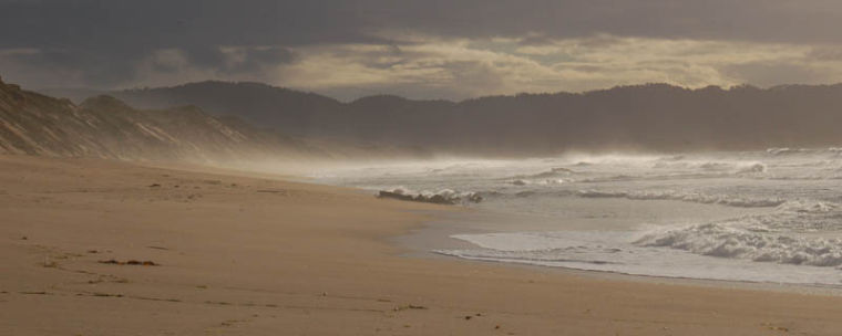 Fort Ord Dunes State Park