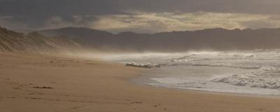 Fort Ord Dunes State Park