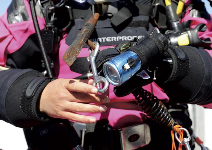 Forest Fire