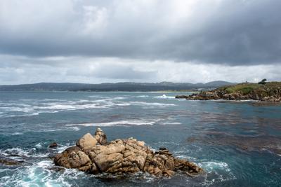 Point Lobos