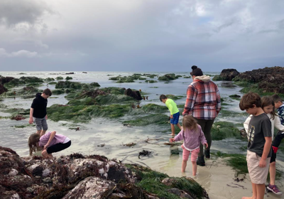 Tidepooling