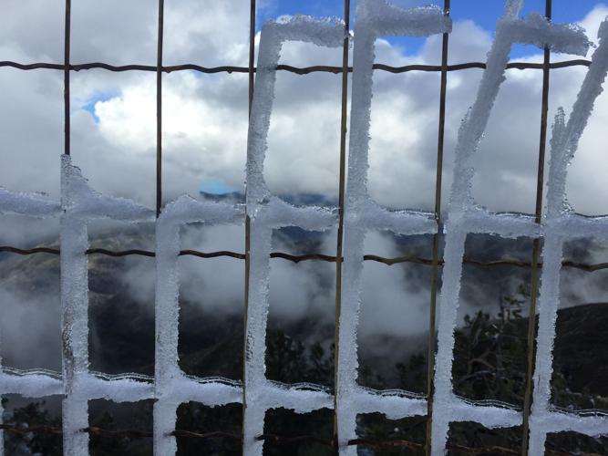 closeup of fence.JPG