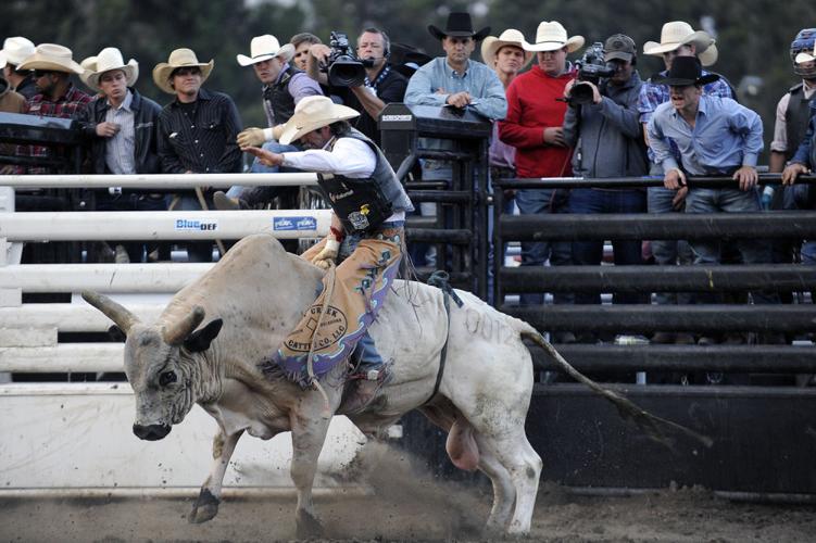 2014 Professional Bull Riding