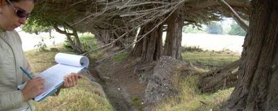 Nonprofit routes stormwater education to local schools.  