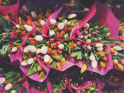 flowers stock image