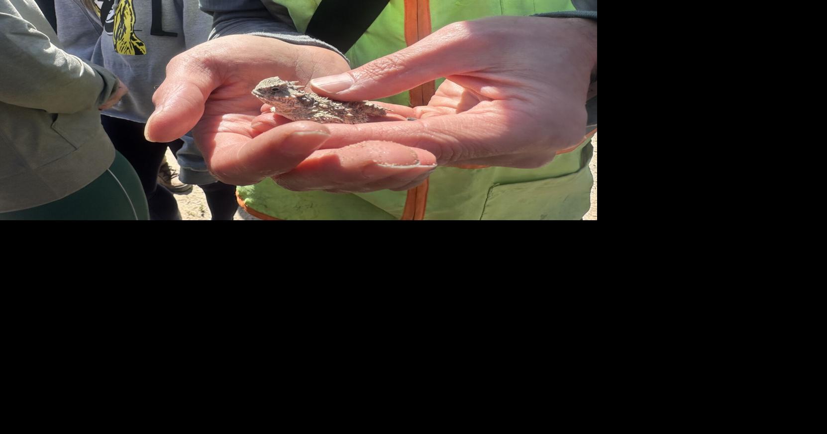 The former Fort Ord’s ecological recovery is slow but steady.