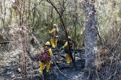 Firefighters at Tassajara Fire