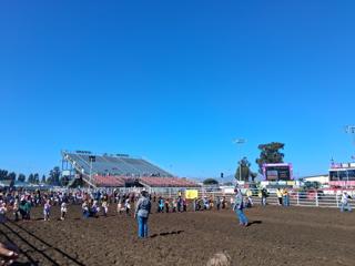 California Rodeo Salinas kicks off 116th year with parade, pink pride and packed crowds.