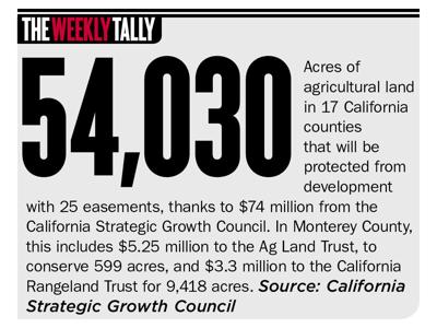 The Weekly Tally 12.29.22
