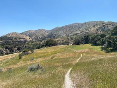 Toro Park trail