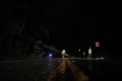 Bomb cyclone tree down Skyline Drive