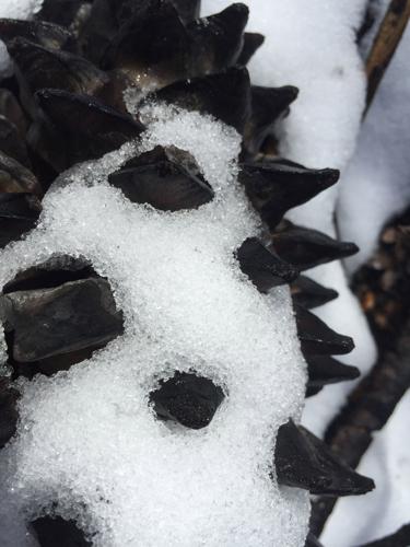 cone n ice.jpg