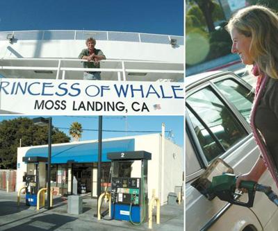 Biodiesel, easily made from soybeans or anything else organic, could save the world.  
