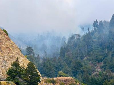 Timber Fire photos