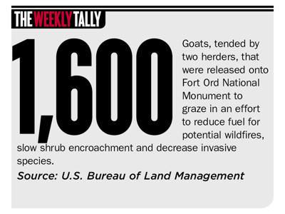The Weekly Tally 10.31.19