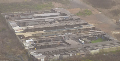 royal oaks rooster facility