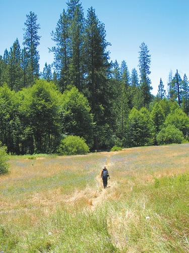 Big Sur hiker missing
