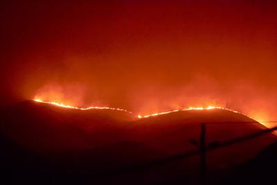 Line of Fire