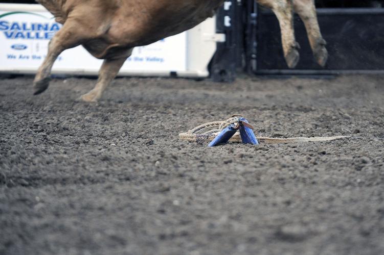 2014 Professional Bull Riding