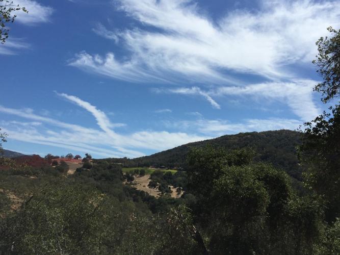 Parrot Ranch