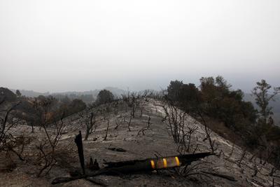Pfeiffer Ridge, post-fire.