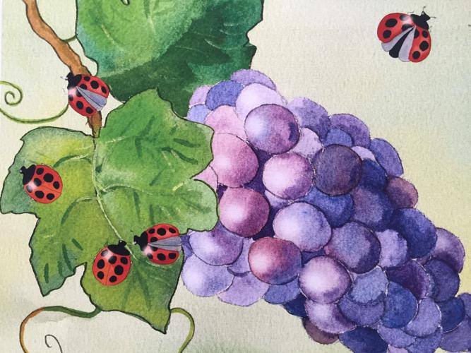 The Art of Grapes