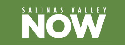web photo - svn logo 5/11