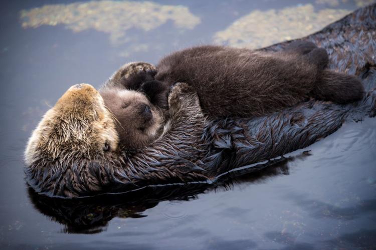 Nap Time