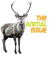 The Animal Issue 2019